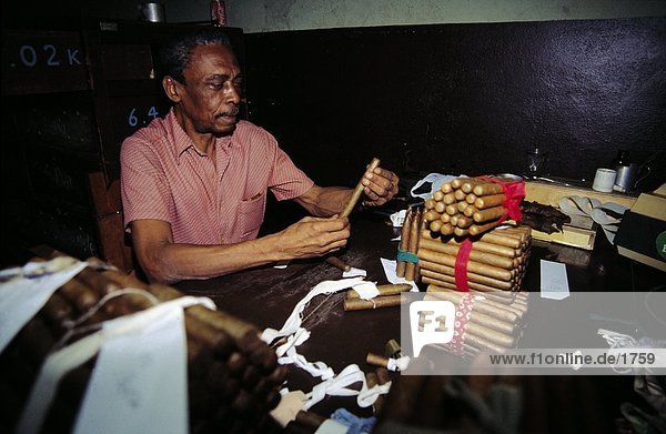 Worker making Partagas cigars in factory  Havana  Cuba