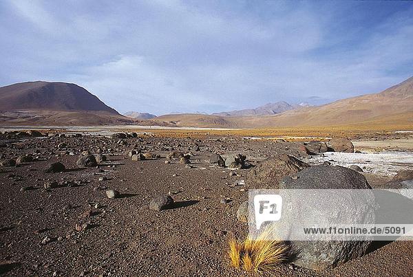 Geysir auf Landschaft  El Tatio Geysire  San Pedro de Atacama  Chile