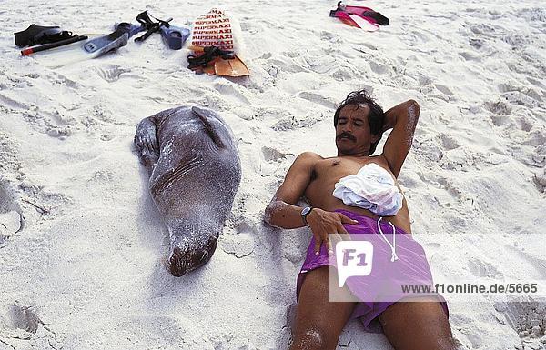 Man resting near Galapagos Sea-lion (Zalophus californianus wollebaekii) on beach  Galapagos Islands  Ecuador