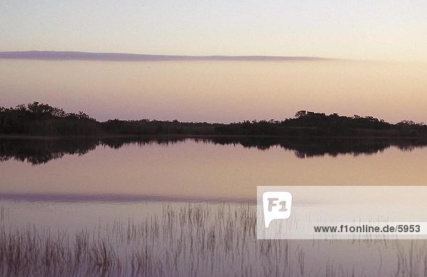 Morgensonnenlicht über Wasser  Everglades  Florida  USA