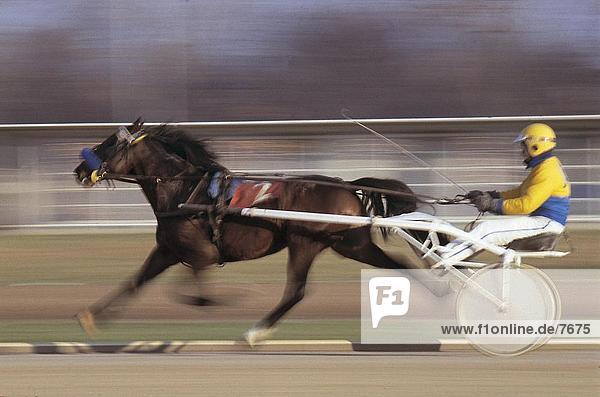 Seitenansicht ein Pferd in einem Kabelbaum-Rennen Reiten jockey