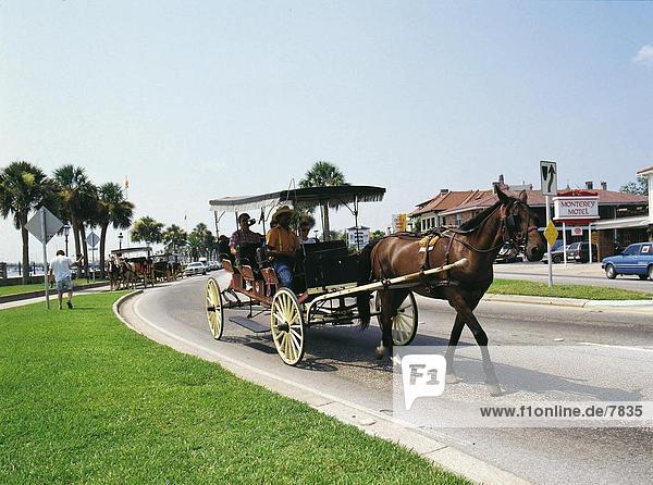 Tourists on horse-drawn carriage with coachman  St. Augustine  Florida USA