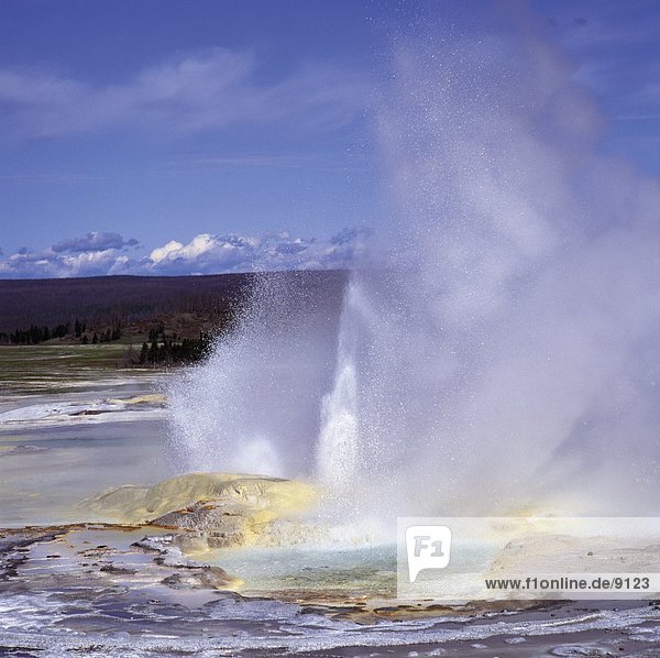Erupting hot spring geysers  Yellowstone National Park  Wyoming  USA