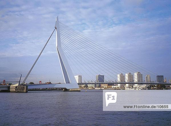 Suspension bridge across river  Erasmus Bridge  Rotterdam  Netherlands