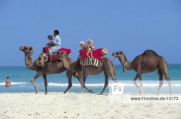 Tourists riding camel on beach  Tunisia  North Africa