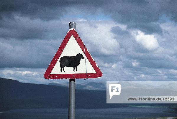 Nahaufnahme of Animal Crossing Straßenschild  Region Highlands  Scotland