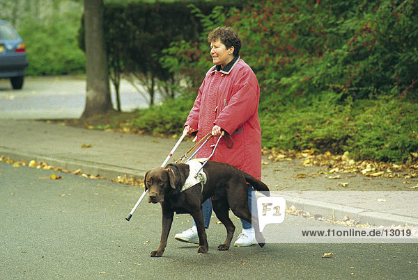 Blinde Frau hält Hund angeleint während Kreuzung Road  Europa