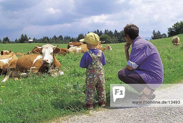 Frau mit Kind betrachten Kühe in Wiese  Bayern  Deutschland