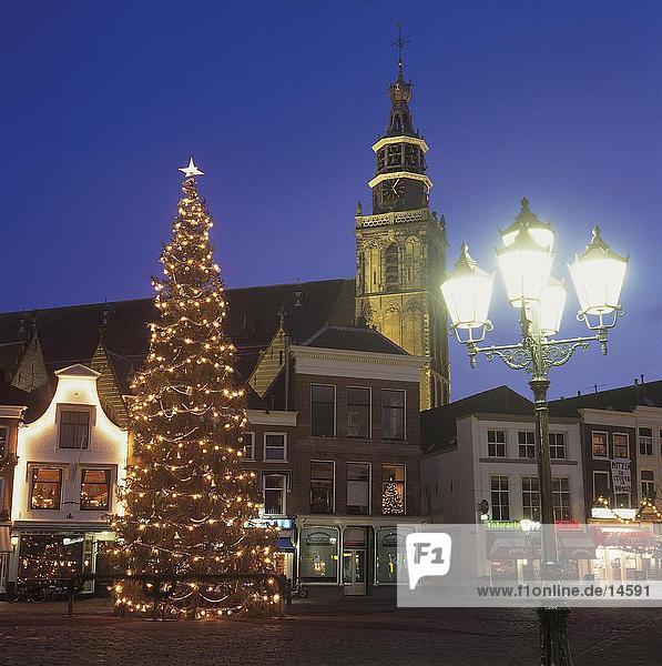 Weihnachtsbaum vor der Kirche  Gouda  Niederlande