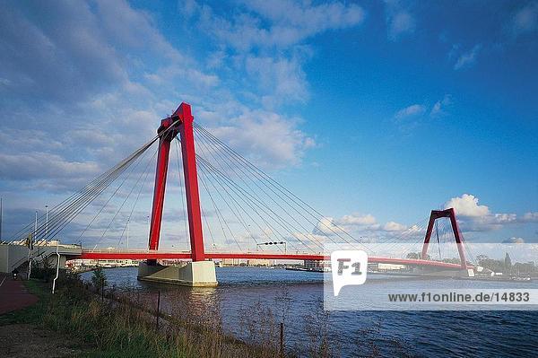 Suspension bridge across river  Mass River  Erasmus Bridge  Rotterdam  Netherlands