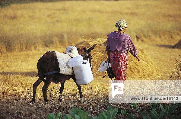 Rear view of woman and donkey on field  Tunisia  North Africa