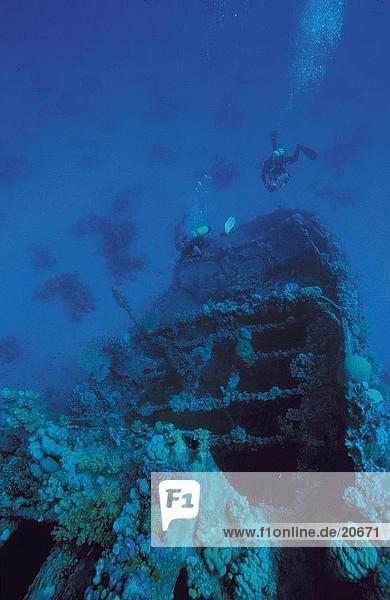 Scuba diver near wreck of ship underwater  Red Sea  Egypt