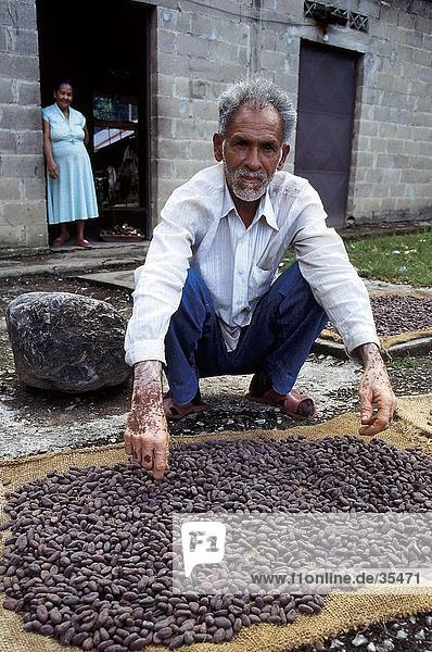 Farmer crouching near cocoa beans  Sucre  Venezuela