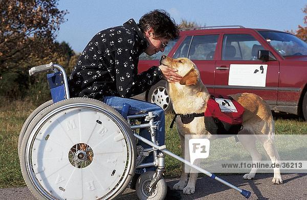 Woman sitting in wheelchair and stroking dog
