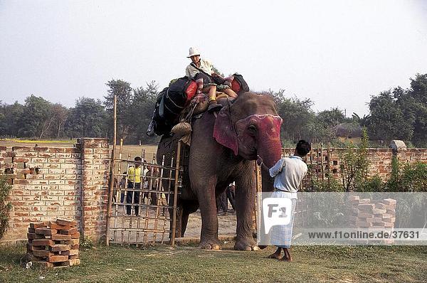 Tourists riding on elephant  Nepal