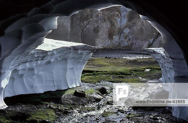 Ice cave with hot springs  Hraftntinnuhraun  Iceland