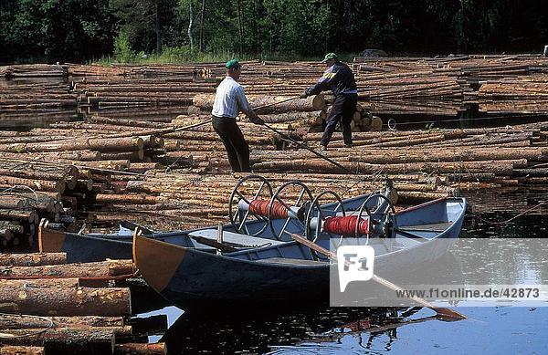 Two men working on stack of logs in water  Kallavesi Lake  Leppaevirta  Finland