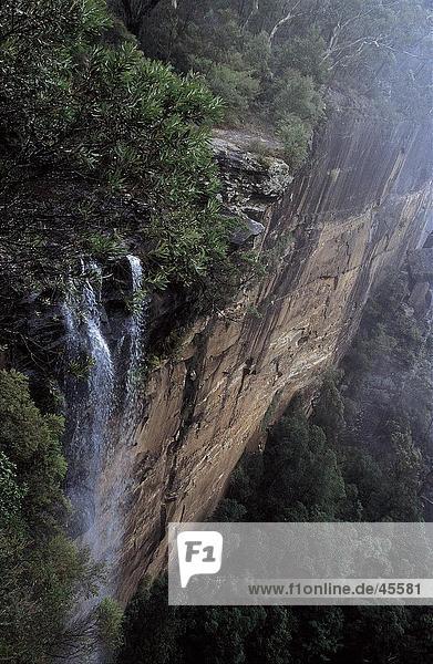 Wasserfall im Wald Fitzroy Falls New South Wales Australien