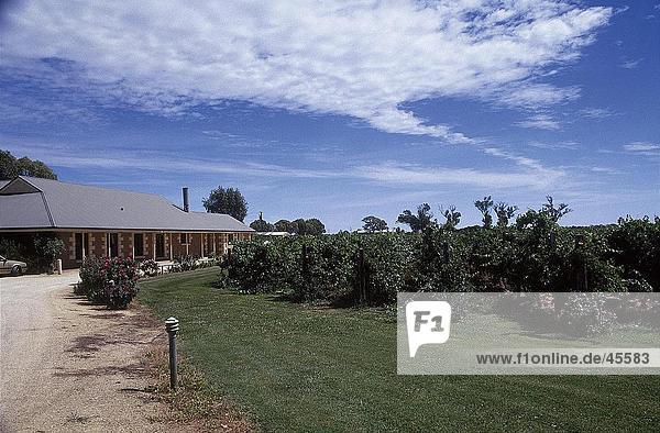 Weingut auf Landschaft Tal Coonawarra Australien