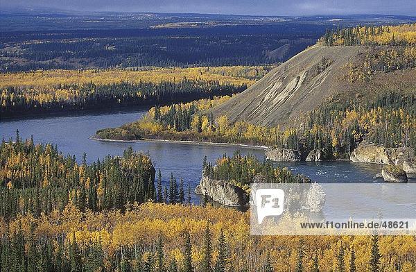 River fließt durch Wald Yukon River Yukon British Columbia Kanada