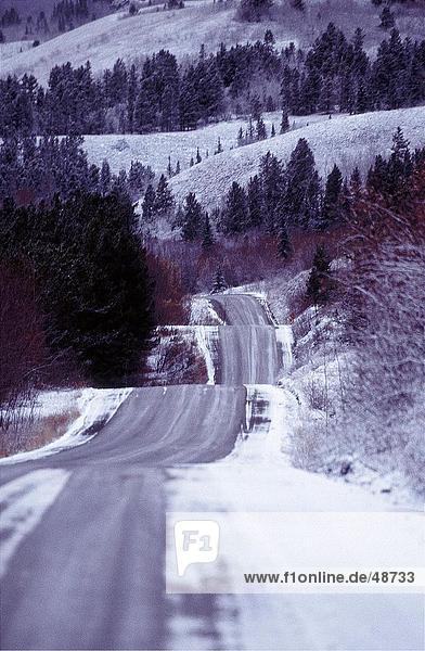 Straßenlauf durch Wald British Columbia Kanada