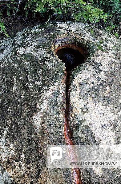 Close-up of spring hole in rock Wells Gray Provincial Park Canada