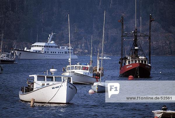 Boote im Meer  Belfast  Waldo County  Maine  USA