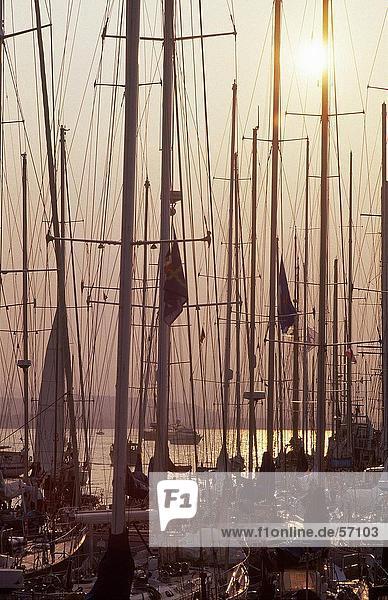 Sailboats at harbor  St Tropez  Cote d'Azur  Provence  France