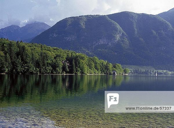 Bäume spiegelt sich in den See mit Bergen im Hintergrund Bohinj See Nationalpark Triglav Slowenien