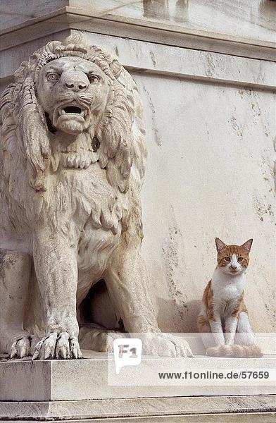 Cat sitting next to marble sculpture lion