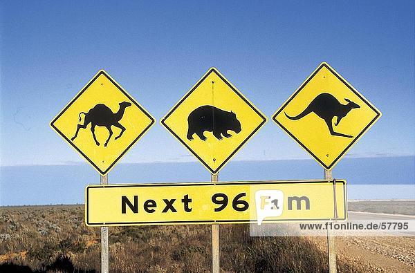 Close-up of animal crossing signs at roadside  Australia