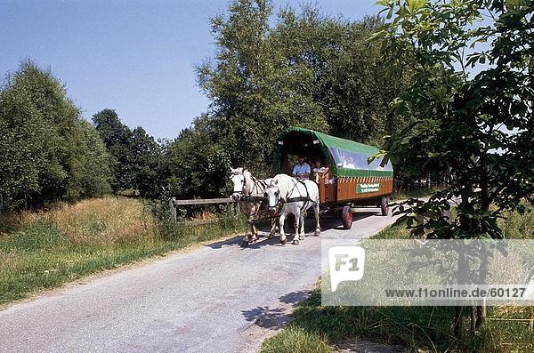 Touristen in Horse drawn Beförderung Wagon  Niedersachsen  Deutschland