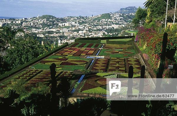 Erhöhte Ansicht eines Gartens  Madeira  Portugal