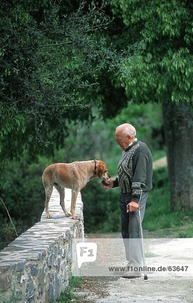 Seitenansicht Side älterer Mann Fütterung Hund  Korsika  Frankreich