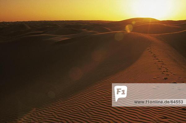 Kräuselungen auf Sanddünen in der Wüste  Vereinigte Arabische Emirate