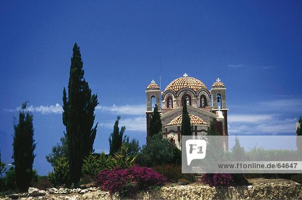 Bäume vor der Kirche  Agios Georgios Kirche  Zypern