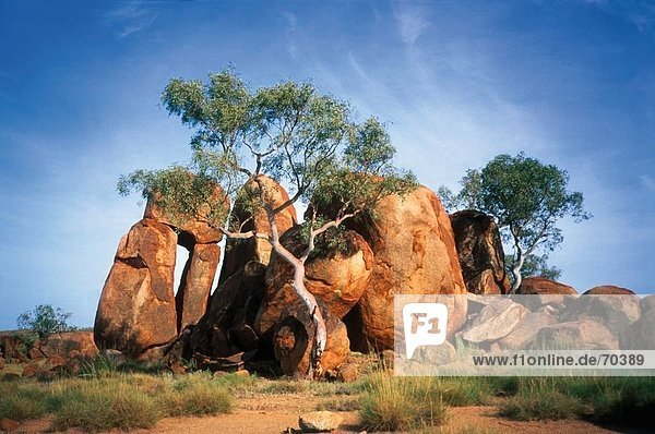 Rock formations on arid landscape  Devil's Marbles  Alice Springs District  Northern Territory  Australia