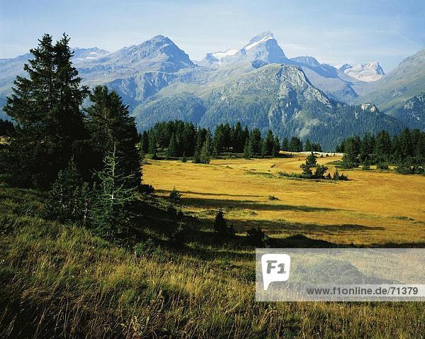 10055949  Alm  Flix  Berg-Panorama  Alpen  Berge  Graubünden  Graubünden  Landschaft  Oberhalbstein  Piz Platta  Schweiz