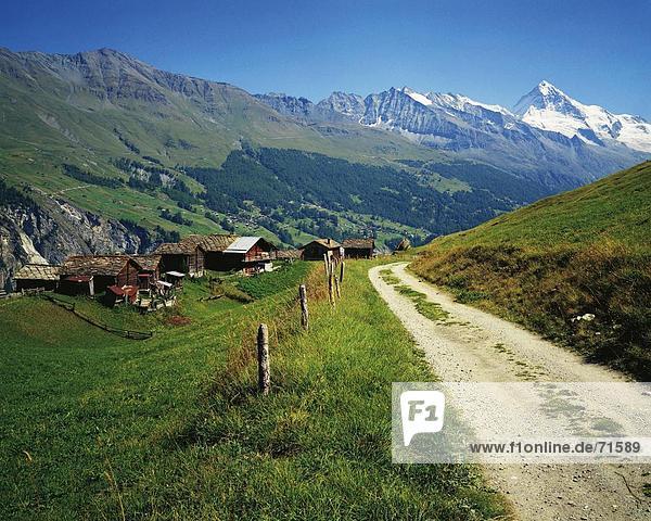 10091266  alpine  Alps  alp  alp  Arbey  mountains  Dent Blanche  country lane  scenery  Switzerland  Europe  Valais