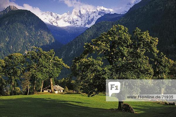 Landschaftlich schön landschaftlich reizvoll Europa Wohnhaus Baum Wiese Kanton Graubünden Soglio Schweiz Bergpanorama