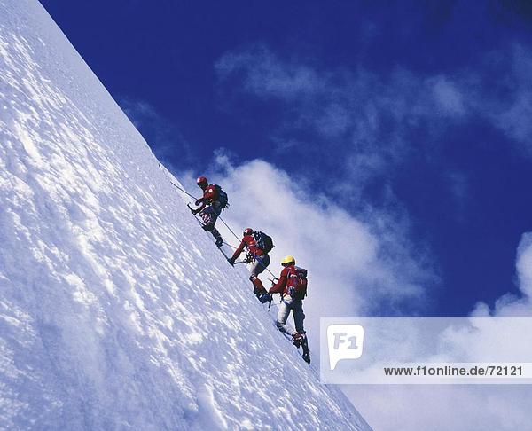 10225780  Anseilen  Bergsteigen  Sport und Fitness  Gletscher  Gruppe  Österreich  Europa  Pitztal  Schnee-Wand  steil  Taschacheiswand