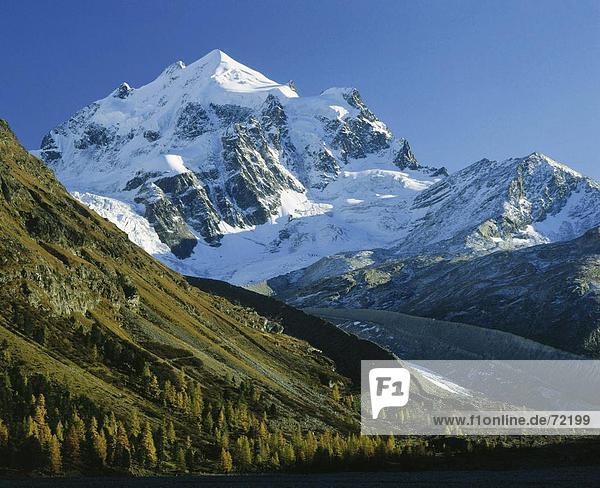 10242570  Landschaft  in der Nähe von Pontresina  Engadin  Graubünden  Graubünden  Piz Roseg  Schweiz  Europa