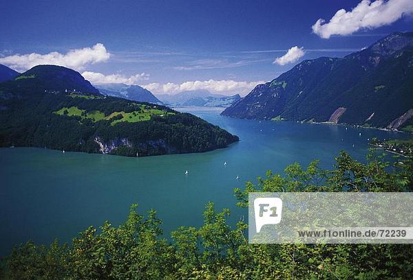 10251737  Ansicht  Berge  Morschach  Schweiz  Europa  Schwyz  Urnersee  See  Meer  Vierwaldstattersee  Vierwaldstättersee  See