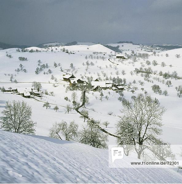 Landschaftlich schön landschaftlich reizvoll Europa Schneedecke Winter Wolke Wohnhaus Baum Gebäude Hügel Straße Schnee Schweiz Wetter