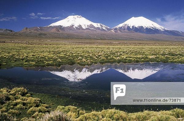 10552642  Bolivien  Südamerika  Körper von Wasser  Landschaft  Sajama  Nationalpark  Steppe  Vulkane Parinacota