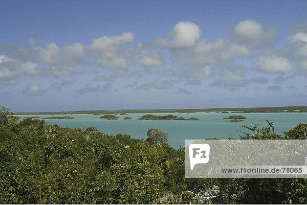 10650228  Inseln  Inseln  Karibik  Küste  Landschaft  Meer  Pflanzen  Türken und Caicos  Vegetation