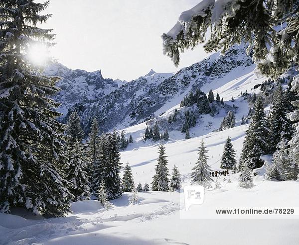 Freizeit Schneeschuh Berg Alpen Berner Oberland Kanton Bern Schnee
