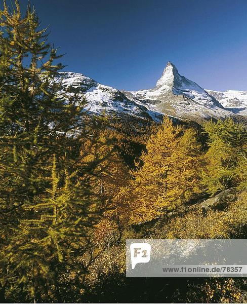 Landschaftlich schön landschaftlich reizvoll Europa Berg Matterhorn Alpen Herbst Sehenswürdigkeit Schweiz Kanton Wallis