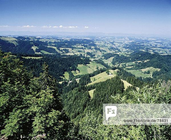 Landschaftlich schön landschaftlich reizvoll Europa Hügel Wald Holz Kanton Luzern Schweiz