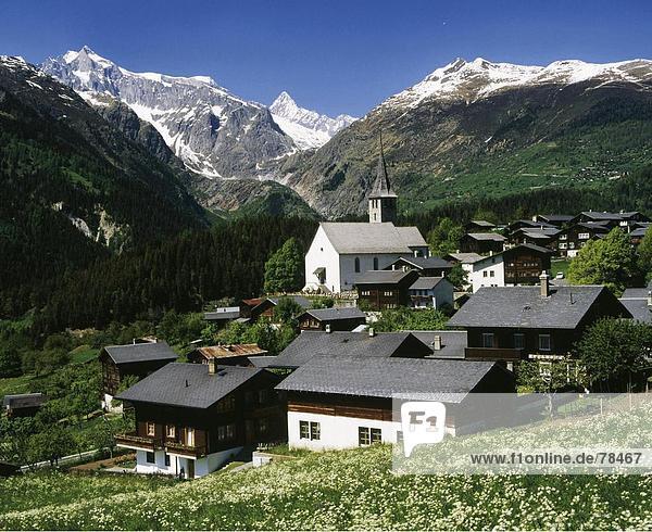 Landschaftlich schön landschaftlich reizvoll Europa Berg Blume Dorf Alpen Schweiz Kanton Wallis